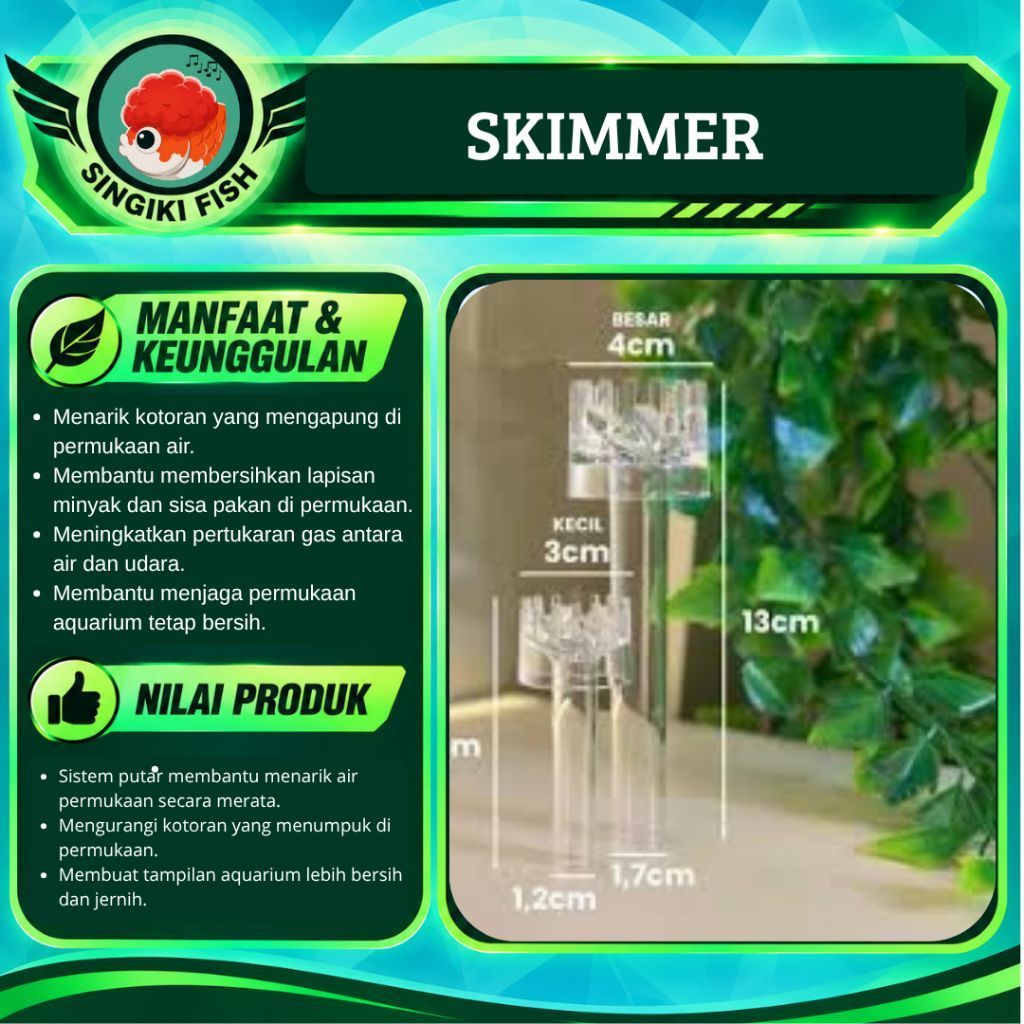 Skimer putar Besar.
