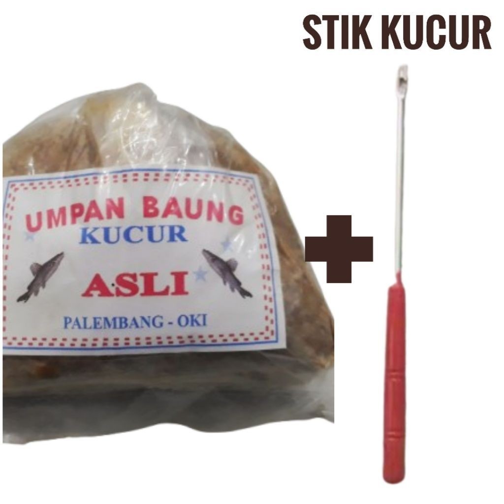 UMPAN PANCING IKAN BAUNG KUCUR PALEMBANG-OKI 200 gr + STIK PEMASANG KUCUR