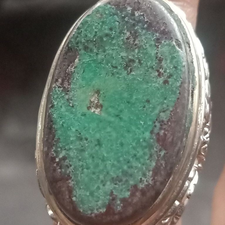 natural pirus Persia lawasan jumbo