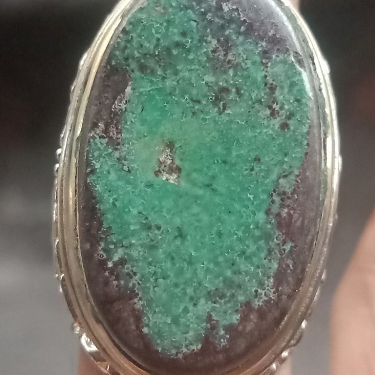 natural pirus Persia lawasan jumbo