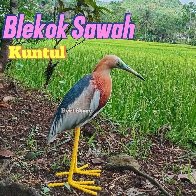 Bestprice- Patung burung Blekok Sawah / Kuntul