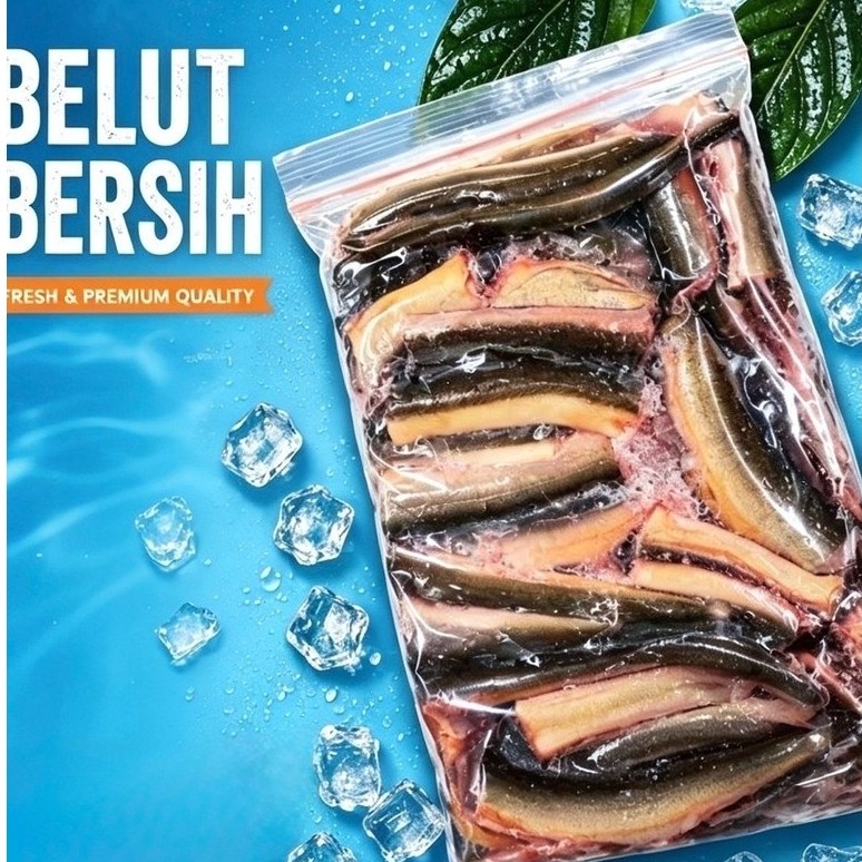 Belut Bersih Frozen dalam Kemasan Plastik Segel