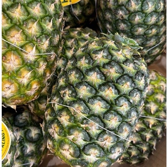 Nanas Honi Sunpride Besar Jumbo
