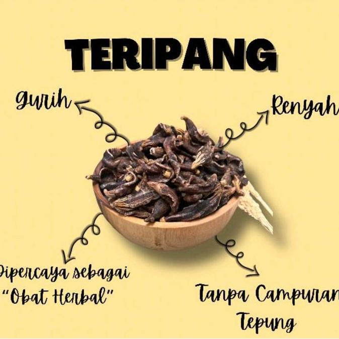 Kerupuk Tripang Asli Renyah 200gr-250gr Laut Snacks Krupuk Kering