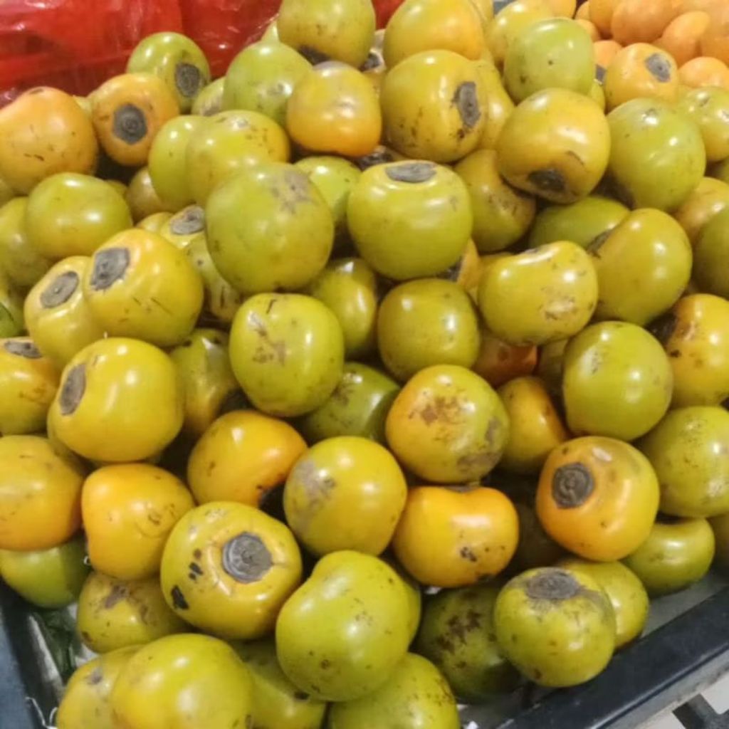 BUAH KESEMEK 1 KG