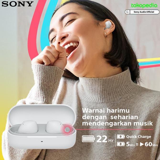 SONY WF-C510 Truly Wireless Earbuds / WFC510 / WF C510