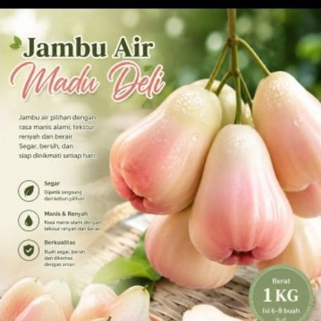 Buah Jambu Air Madu Deli Segar dan Manis 1kg