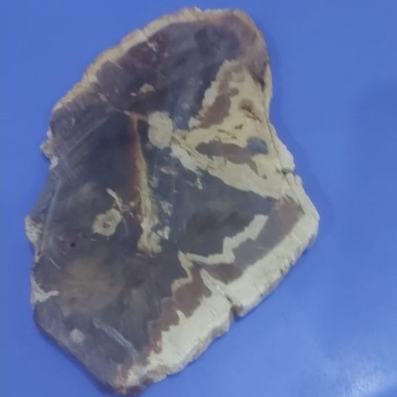 bahan batu akik fokay garut