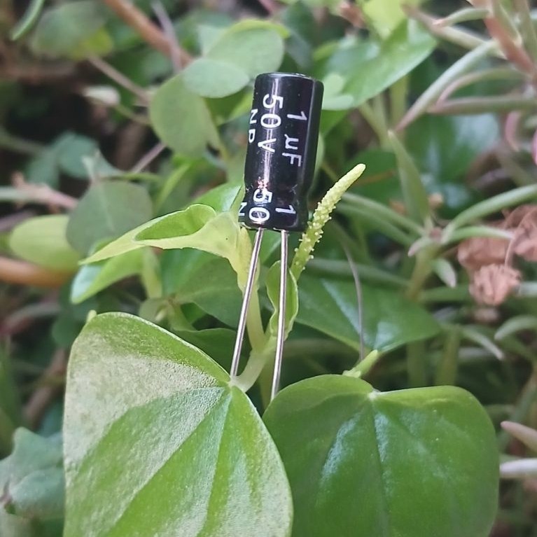 kapasitor 1uf 105uf 50v nonpolar NP