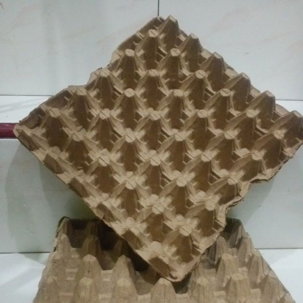 Tray egg / Tray telur / tempat telur 30 butir / tempat telur ayam / Egg Tray Karton Bekas murah