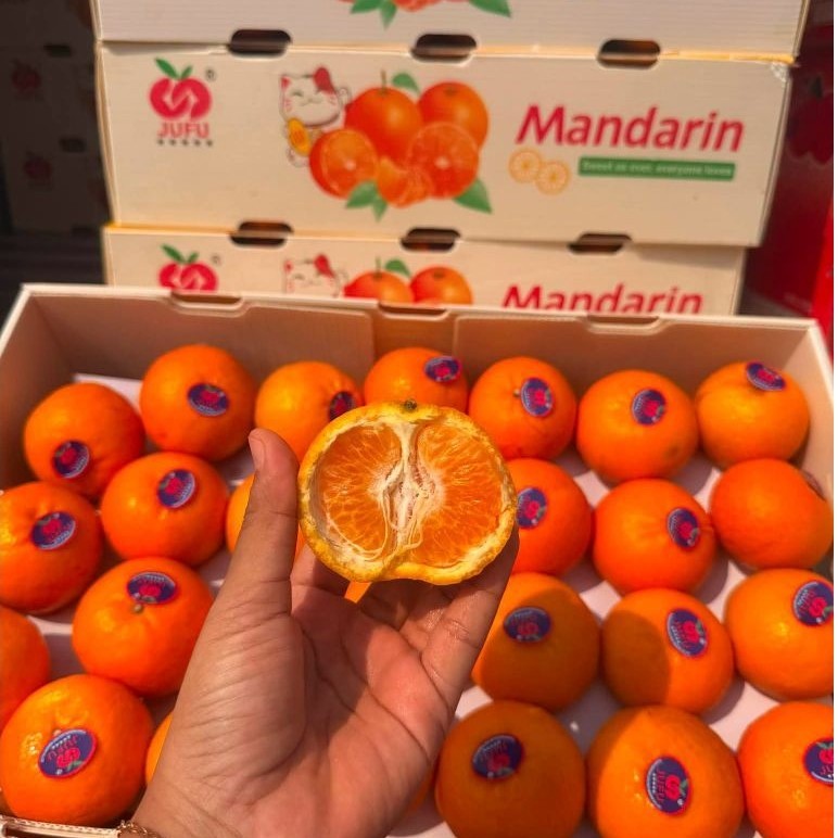 JERUK WOGAM PREMIUM MANDARIN 1DUS 9KG MANIS JUICY LUMER
