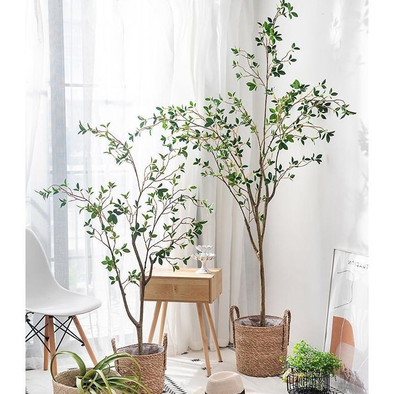 FICUS ARTIFICIAL PREMIUM /TANAMAN FICUS PREMIUM