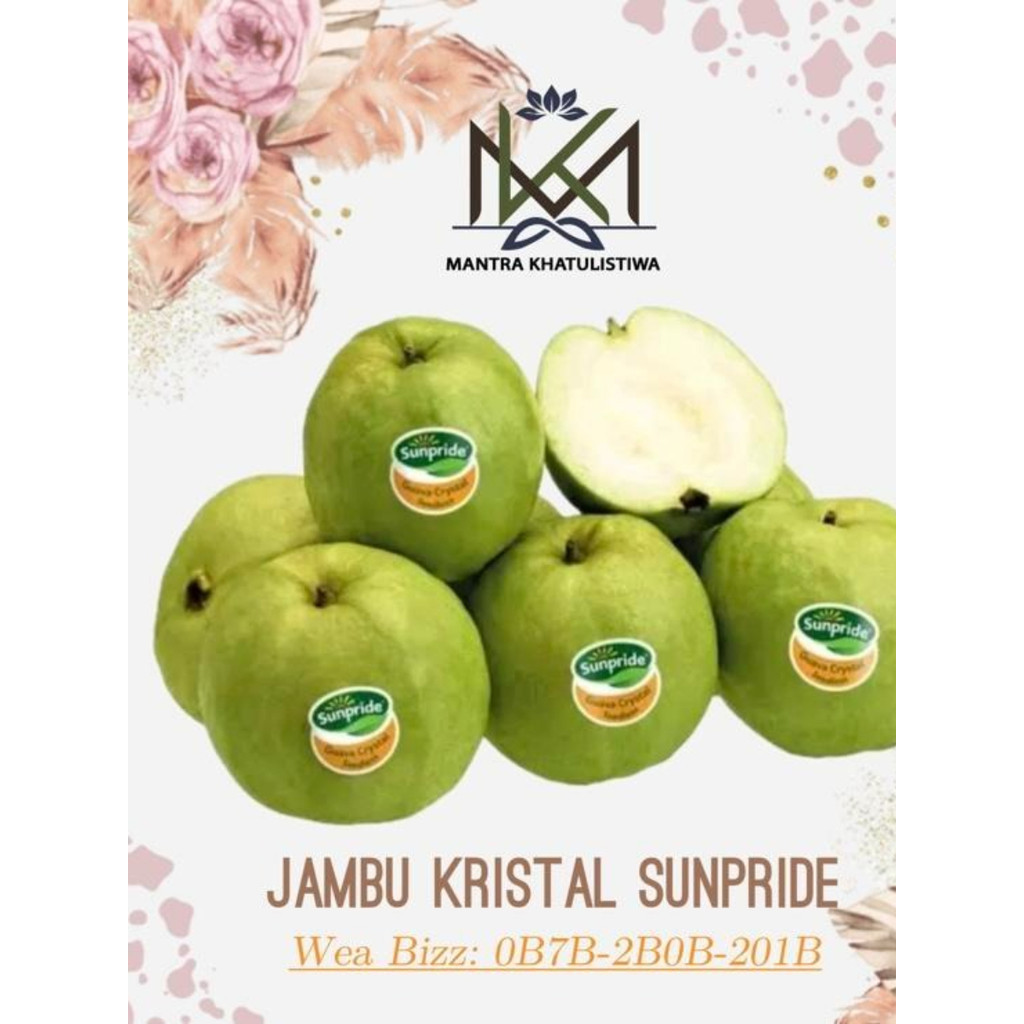 JAMBU KRISTAL FRESH JAMBU KRISTAL SUNPRIDE