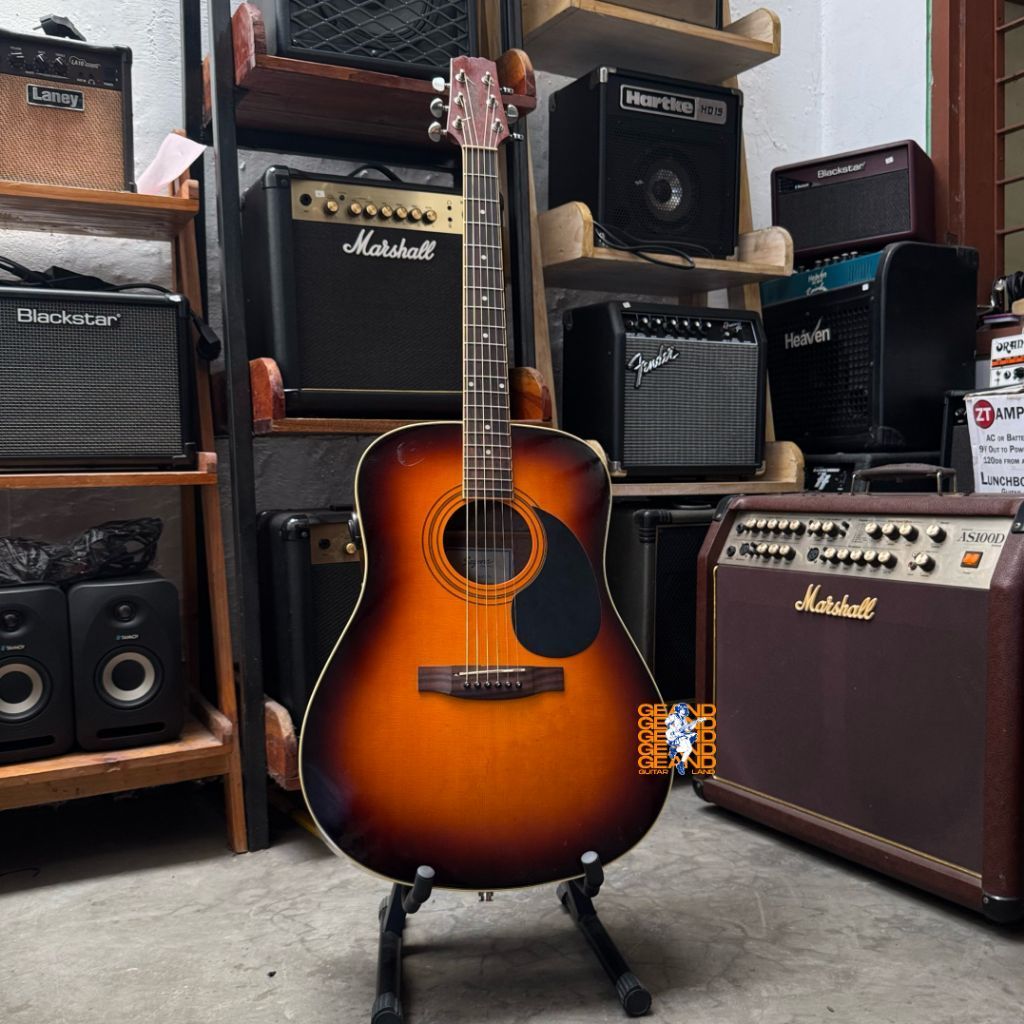 Segovia D07 GN Acoustic Electric Guitar