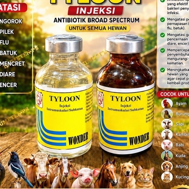 tylon 20 ml obat tyloon injeksi ayam burung merpati sakit snot mata bengkak by wonder