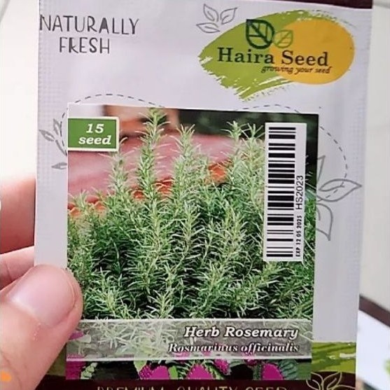 Benih-Bibit Herba Rosemary (Haira Seed) / Bibit Rosemary