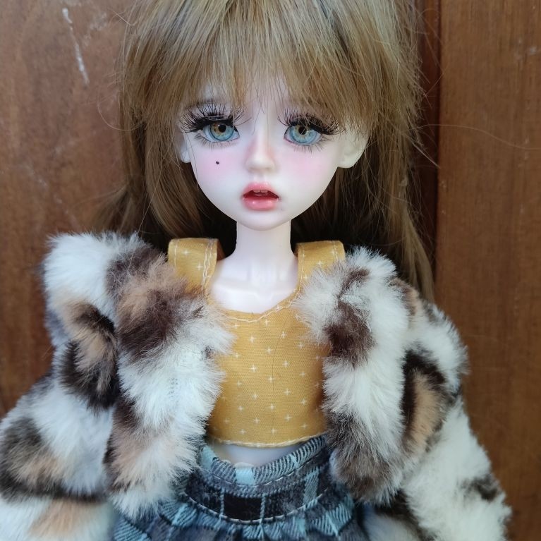 bjd 1/6 premium