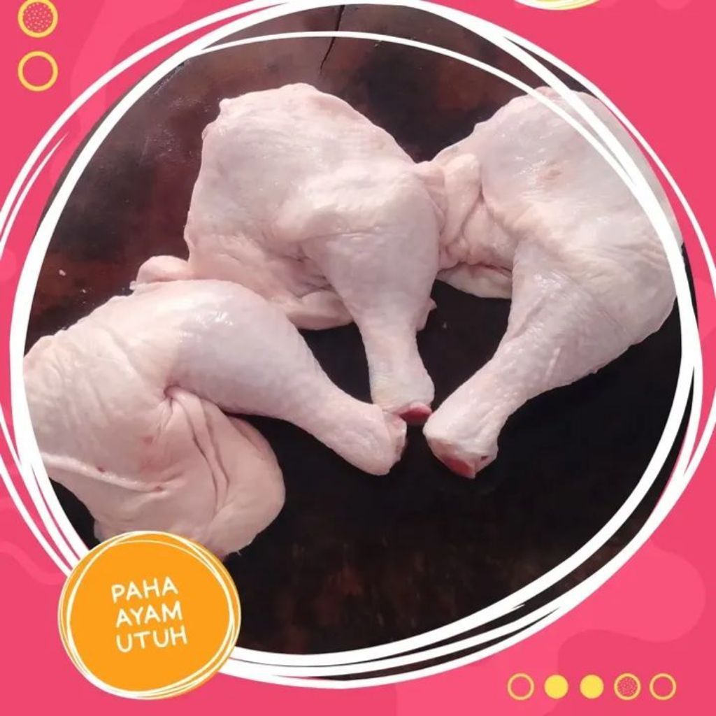Paha Ayam Utuh Bahan Daging Ayam Segar untuk Masak