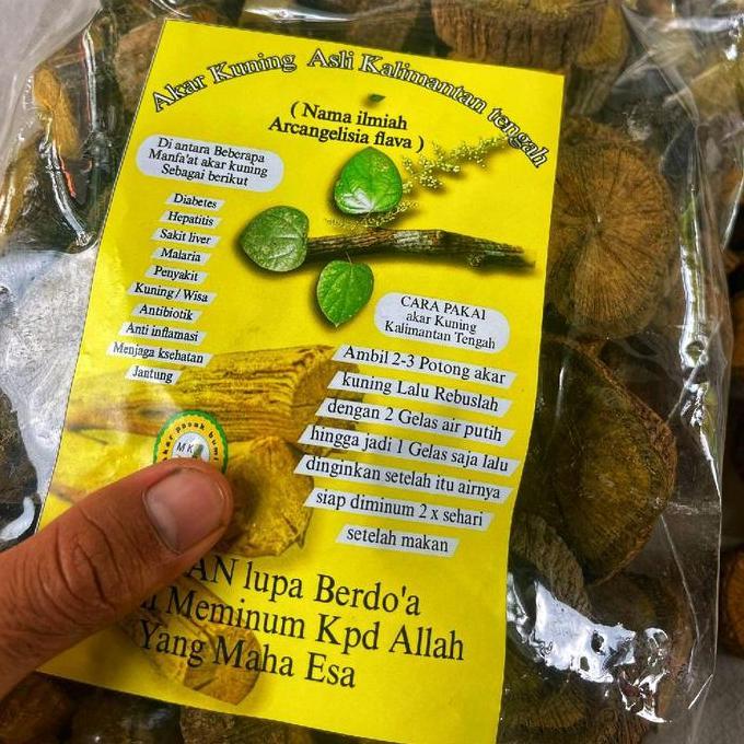 1 Kg Akar Kuning Asli Kalimantan Akar Bajakah Kuning Herbal Akar Kuning Arcangelisia Flava