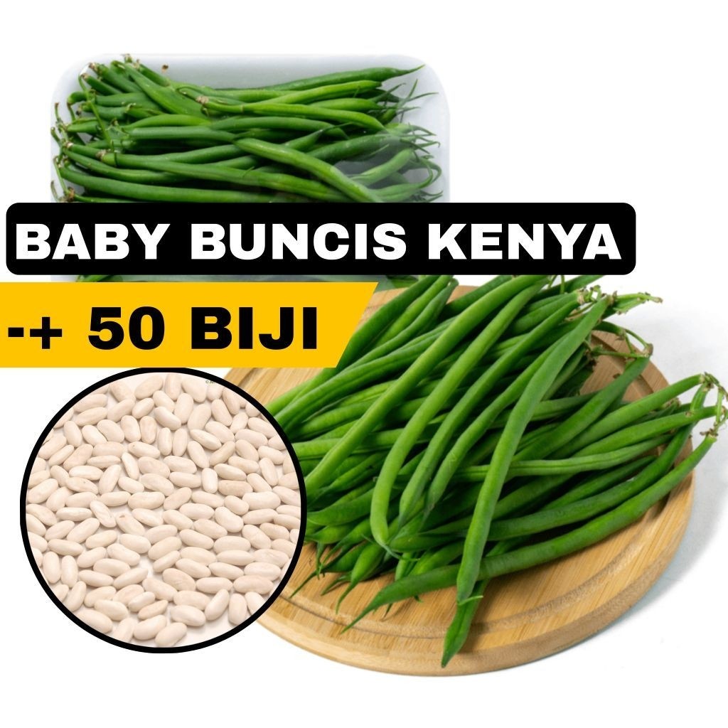 50 BIJI BUNCIS BABY KENYA / Benih Baby Buncis Kenya