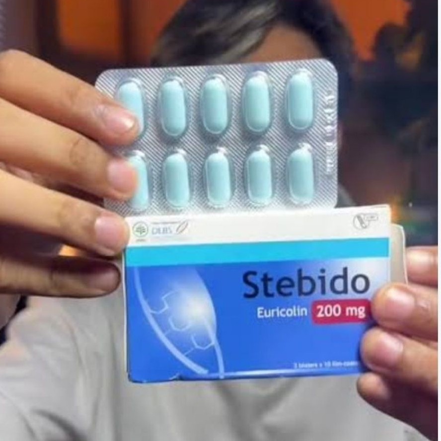 steBIDO