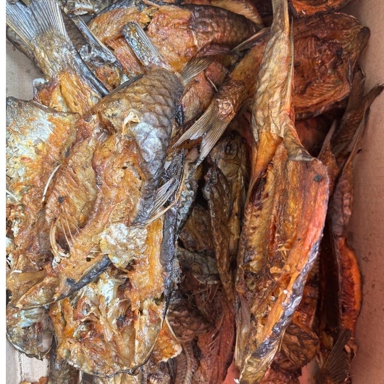 Ikan Salai Ikan Dewa ( Semah )
