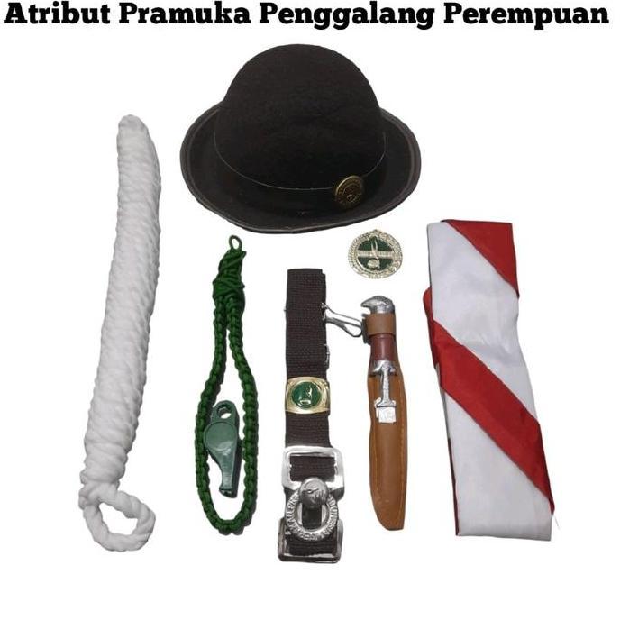 TERLARIS ATRIBUT PRAMUKA SD PEREMPUAN LENGKAP KELAS 1-6 SD