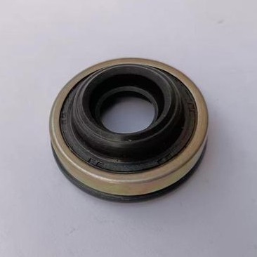 Shaft Seal 10P30B Stainless