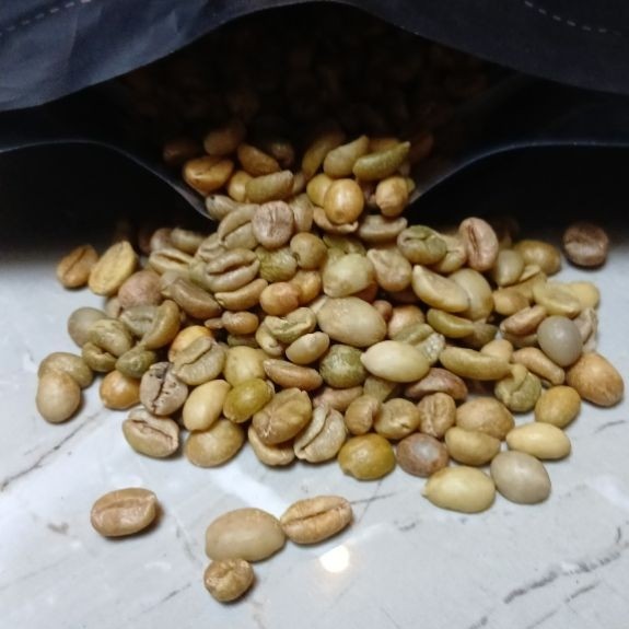 Green Bean Excelsa Jawa Barat