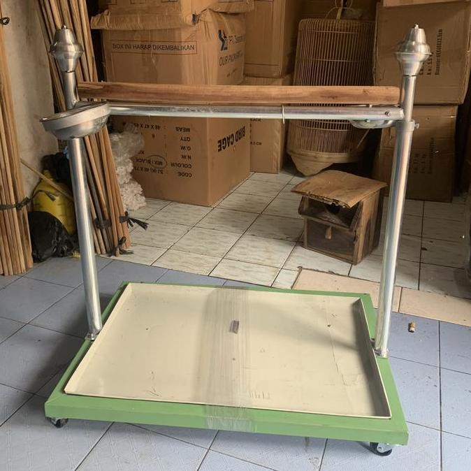 tangkringan burung kakatua nuri