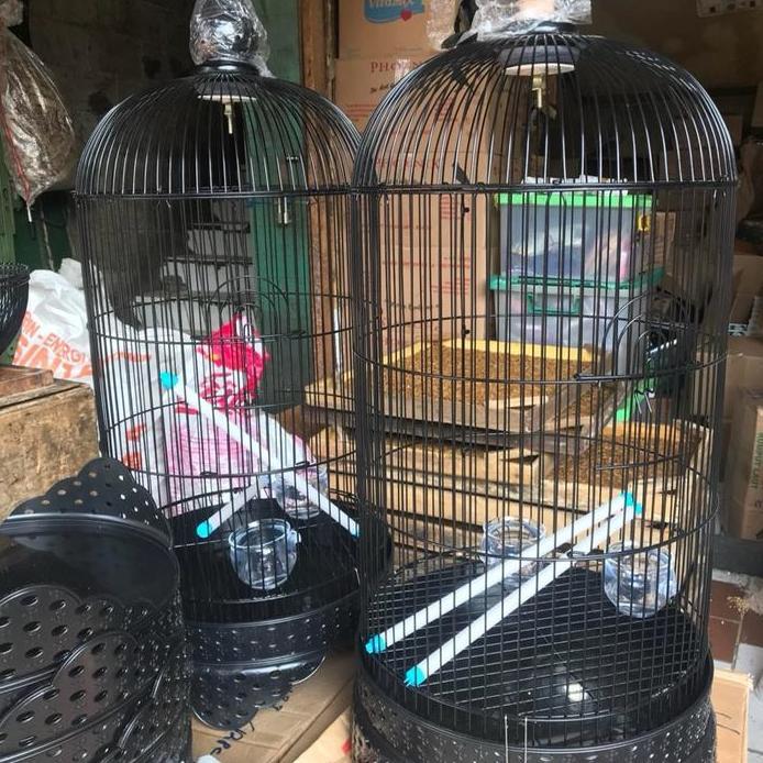 SANGKAR KANDANG LOVEBIRD MERK SWEET BESI TEBAL MURAH MERIAH
