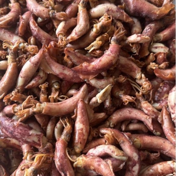 Cumi Asin / Cumi Kering/ Sotong Kering