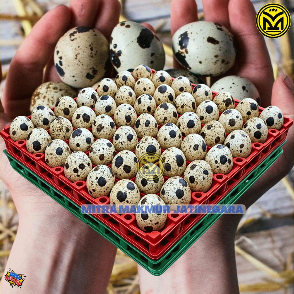 KRAT TELUR PUYUH PLASTIK ISI 90 TELUR TRAY EGG PUYUH KRAT PLASTIK TELOR PUYUH EGG TRAY MURAH