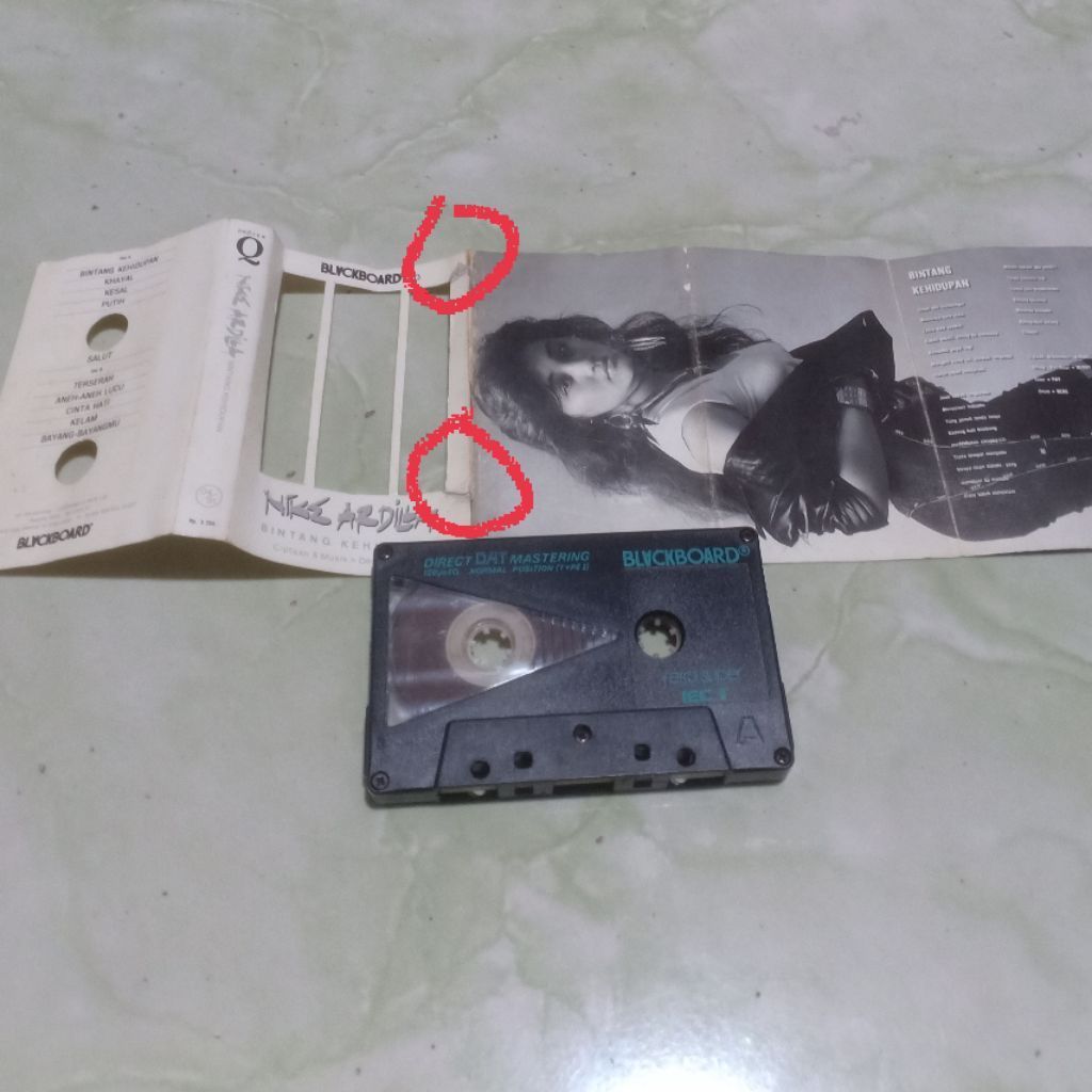 Kaset pita NIKE ARDILLA - Bintang kehidupan