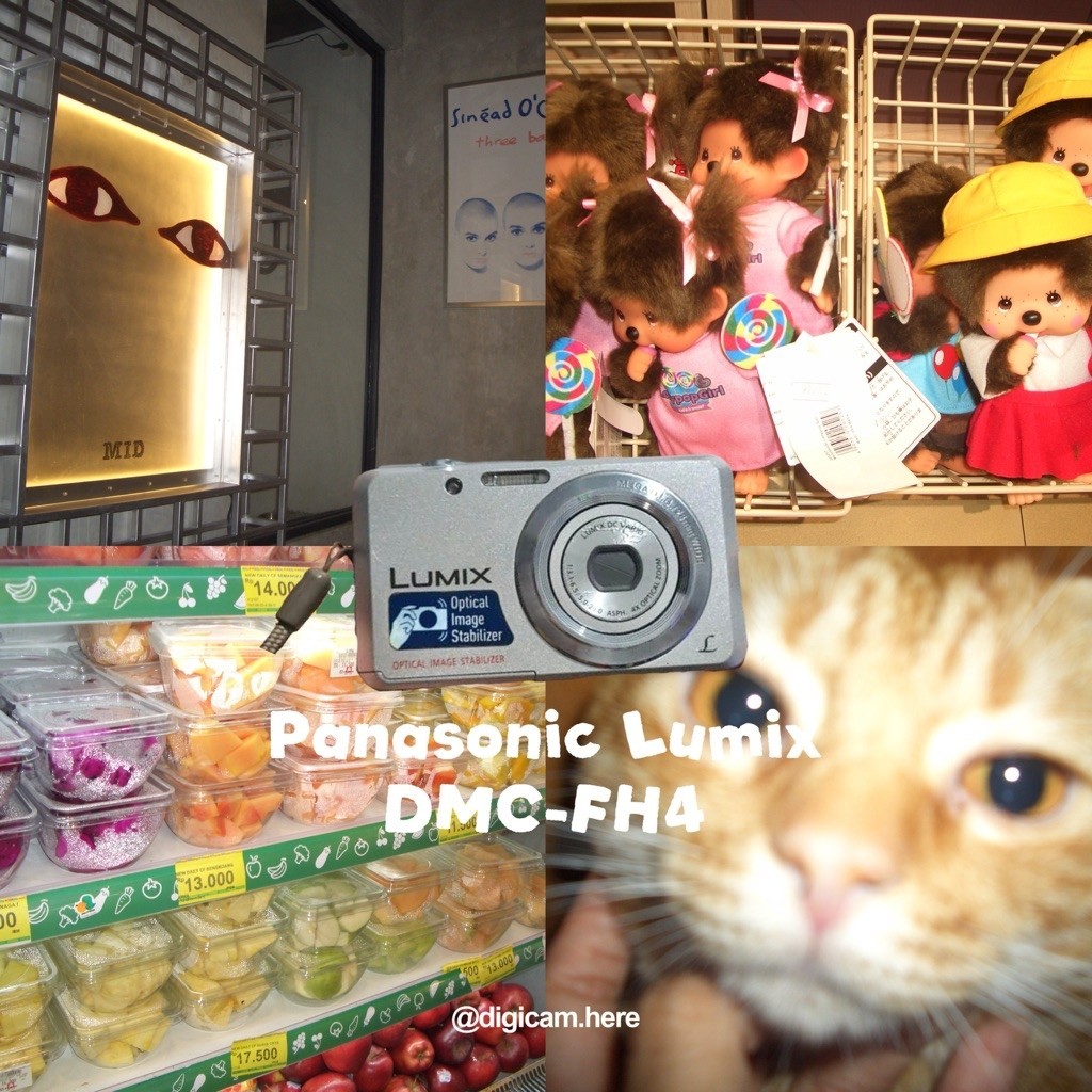 Kamera Digital Panasonic Lumix DMC-FH4 (Second)