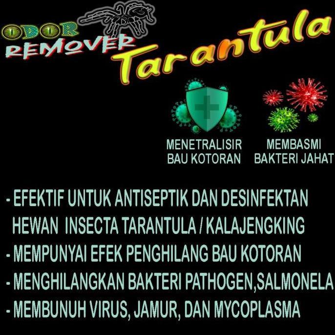 TARANTULA ODOR REMOVER ANTISEPTIK KANDANG TARATULA PARAHYBANA PORTERI AURATUM AVICULARIA P METALLICA
