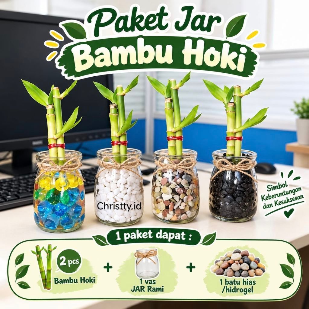 BAMBU HOKI / (paket) Bambu Hoki - Vas Jar Kecil - Tanaman Aesthetic / Souvenir bambu / Sauvenir Bamb