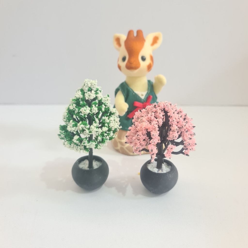 miniatur pohon bonsai jepang sakura