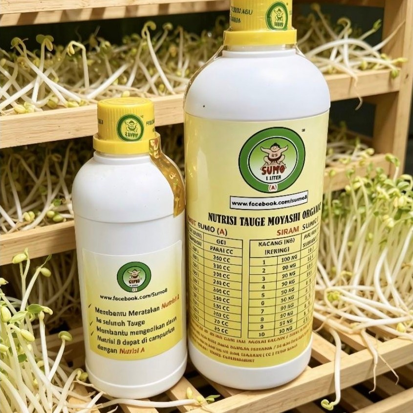 Sumo Cari Nutrisi Tauge