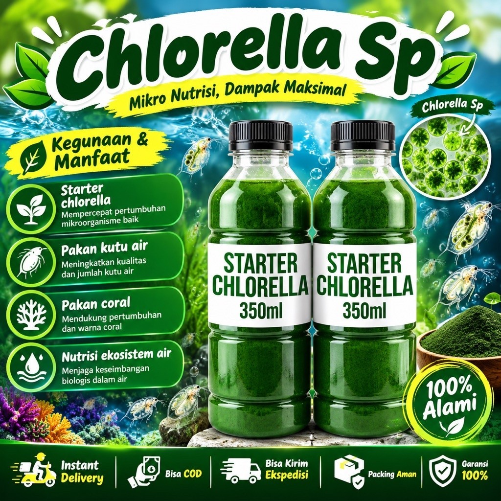 Chlorella / Phytoplankton / Green Water Chlorella