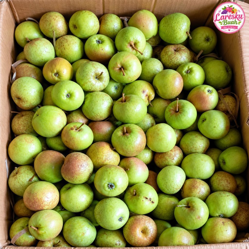 Buah Apel Malang Hijau Manis Segar 1 kg - Laresku Buah
