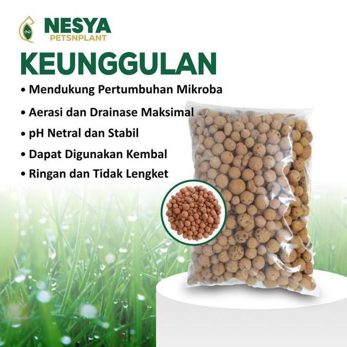Media Tanam Hidroton Jerman 1kg - Media Tanam