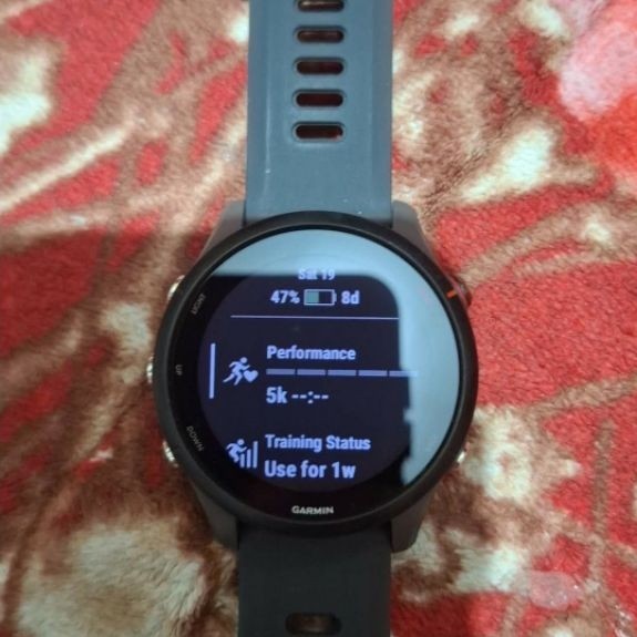 Garmin Forerunner 255
