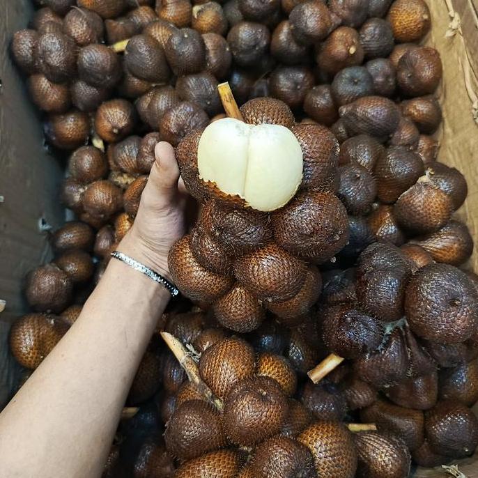 Natrul- Salak | Salak Gula Pasir | Salak Bali