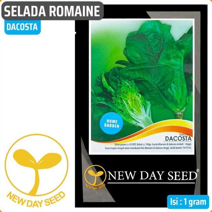 siap kirim] Selada Romaine DACOSTA, 1 gr | New Day Seed