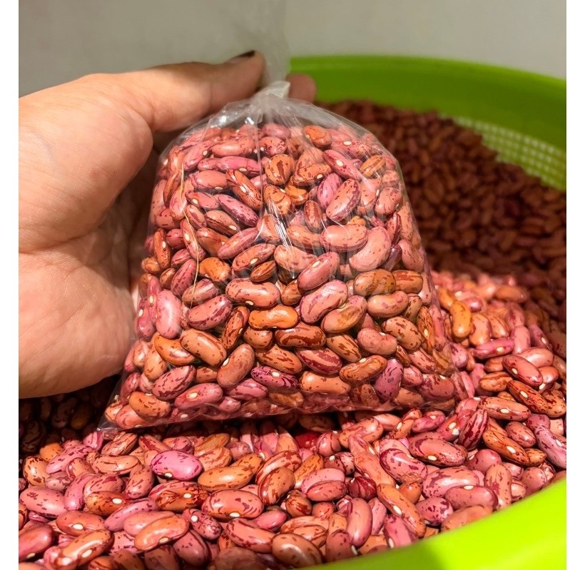 kacang merah kering