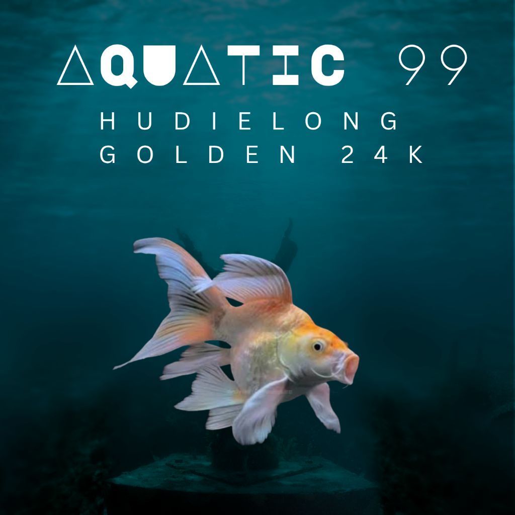 Hudielong Golden 24k import / Koi Butterfly SB 6-8cm