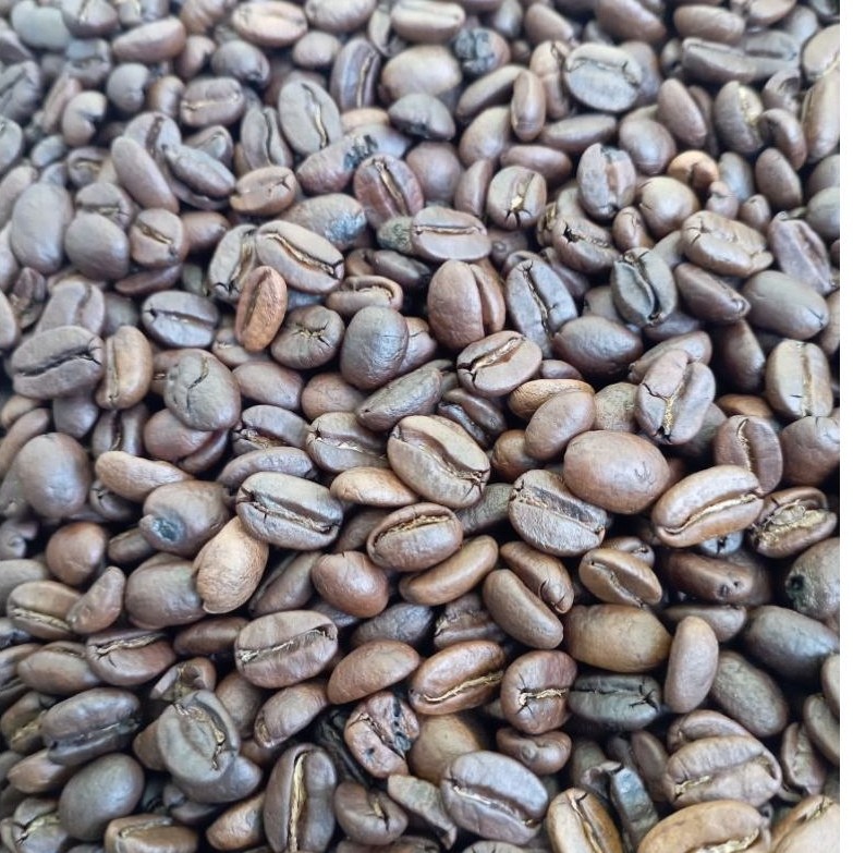 BIJI KOPI ARABIKA DAN ROBUSTA