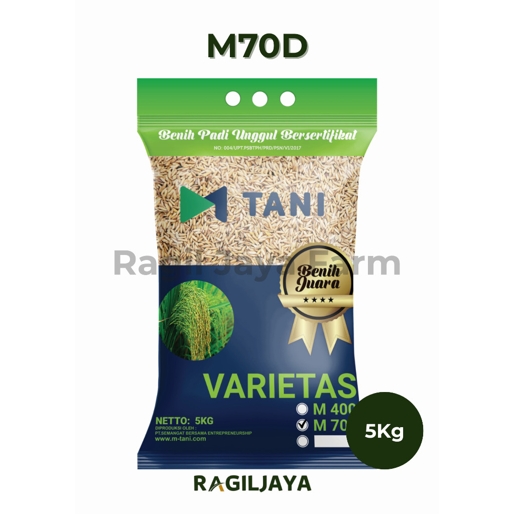 Benih Padi M70D M-Tani - 5Kg - Benih Padi Genjah