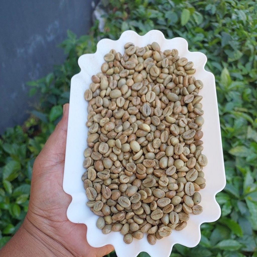 biji kopi fine robusta full petik merah